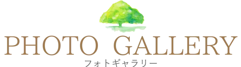 ギャラリー